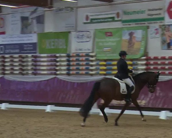 Reitturnier Eicherloh RH Laurent/Obb. 2023