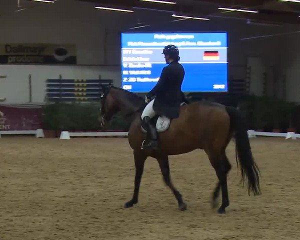Reitturnier Eicherloh RH Laurent/Obb. 2023