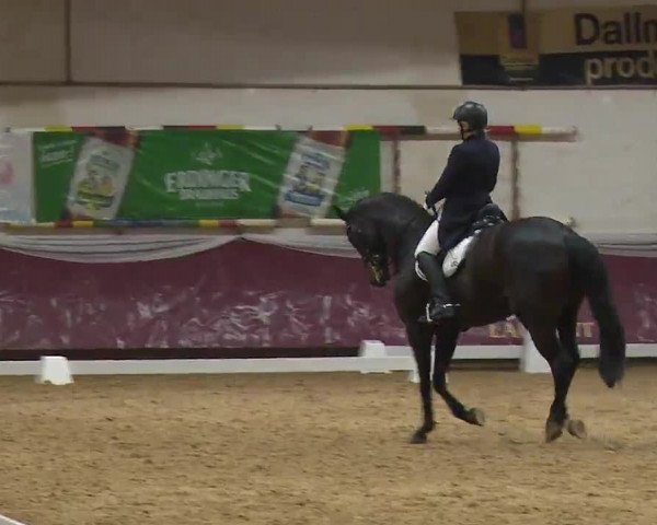 Reitturnier Eicherloh RH Laurent/Obb. 2023
