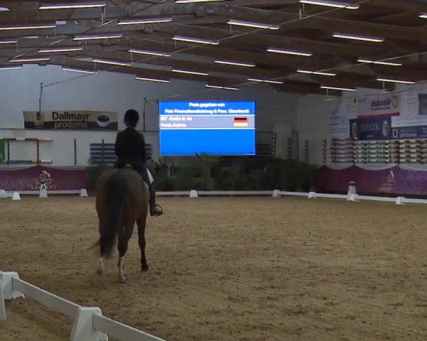 Reitturnier Eicherloh RH Laurent/Obb. 2023