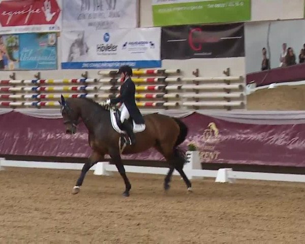 Reitturnier Eicherloh RH Laurent/Obb. 2023