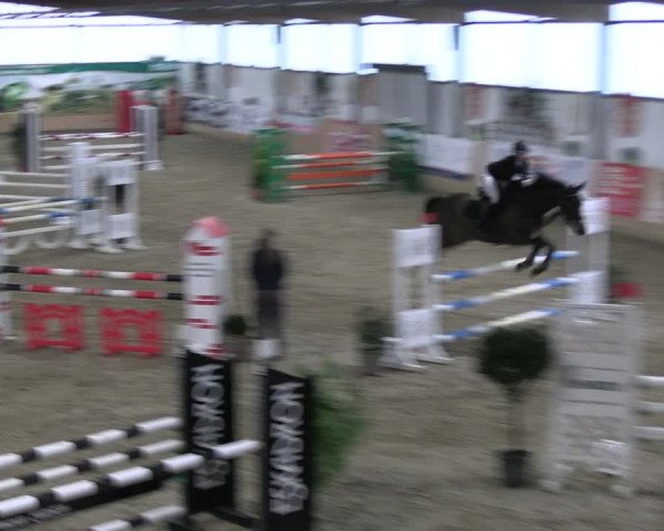 Reitturnier Borgholzhausen-Westbarthausen 2023