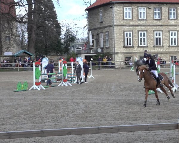Reitturnier Hildesheim-Steuerwald 2023