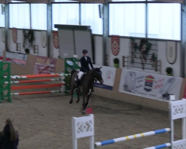 Reitturnier Borgholzhausen-Westbarthausen 2023