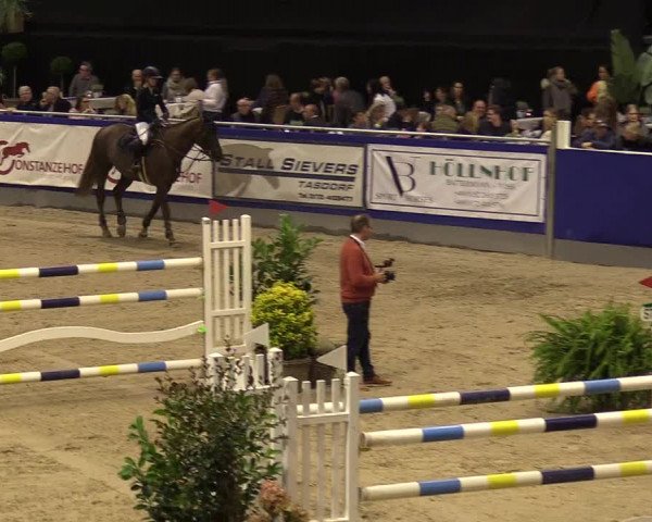 FEI Reitturnier Neumünster (GER) 2021
