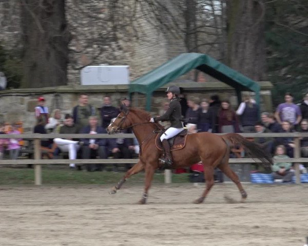 Reitturnier Hildesheim-Steuerwald 2023