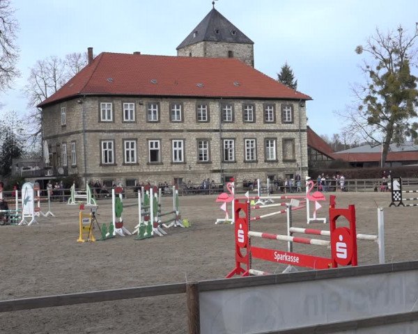 Reitturnier Hildesheim-Steuerwald 2023