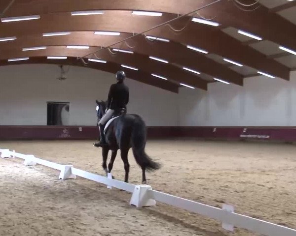 Reitturnier Eicherloh RH Laurent/Obb. 2023