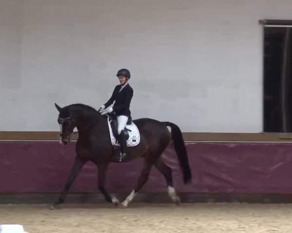 Reitturnier Eicherloh RH Laurent/Obb. 2023