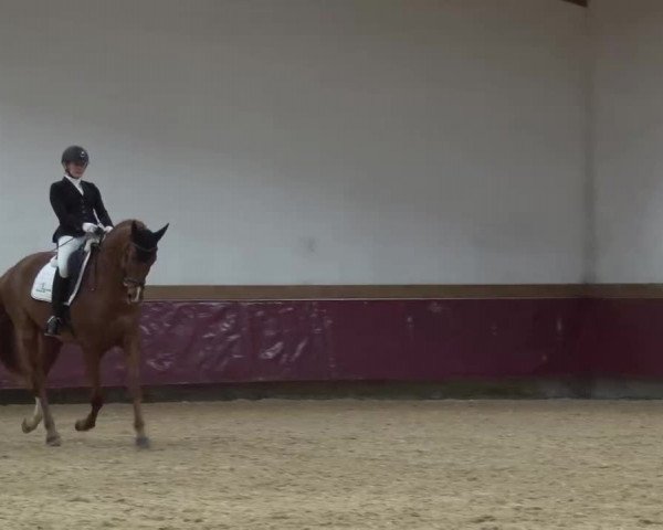 Reitturnier Eicherloh RH Laurent/Obb. 2023