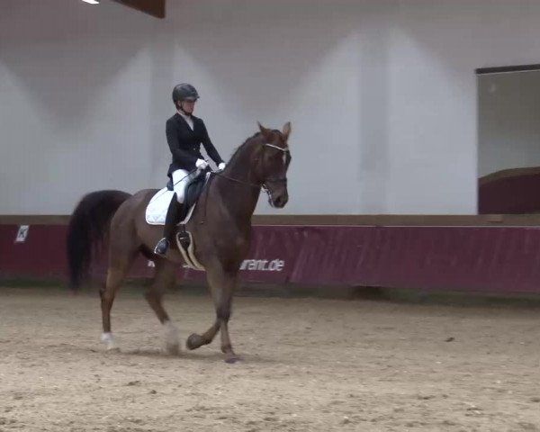Reitturnier Eicherloh RH Laurent/Obb. 2023