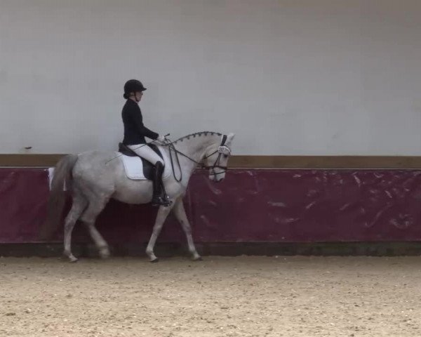 Reitturnier Eicherloh RH Laurent/Obb. 2023