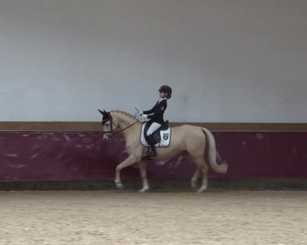 Reitturnier Eicherloh RH Laurent/Obb. 2023