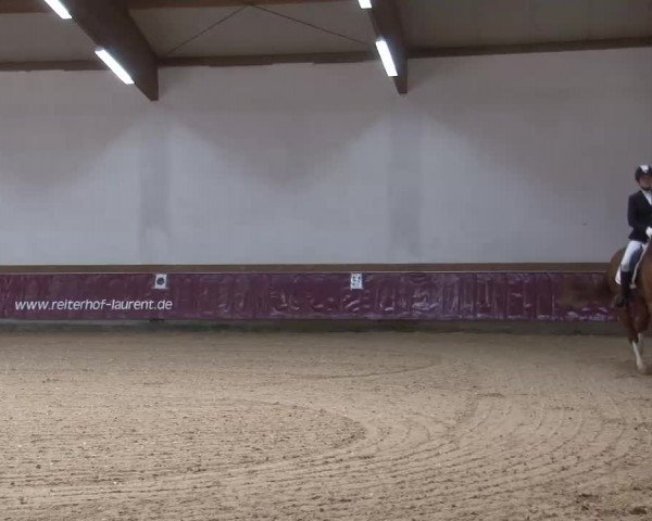 Reitturnier Eicherloh RH Laurent/Obb. 2023