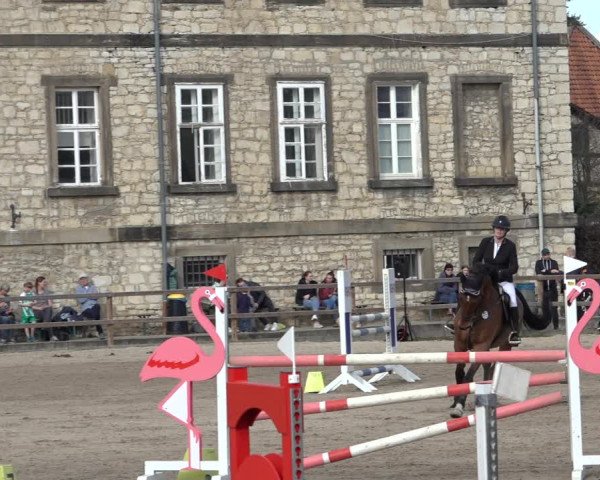 Reitturnier Hildesheim-Steuerwald 2023