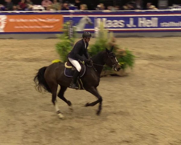 FEI Reitturnier Neumünster (GER) 2021