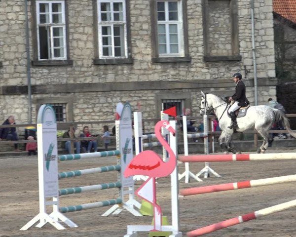 Reitturnier Hildesheim-Steuerwald 2023