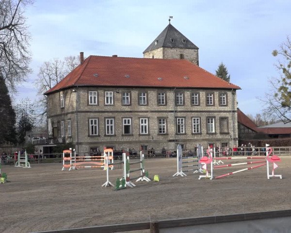 Reitturnier Hildesheim-Steuerwald 2023