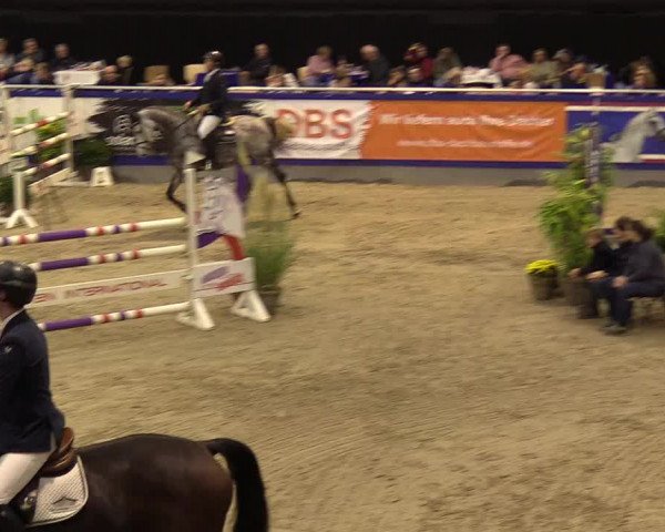 FEI Reitturnier Neumünster (GER) 2021