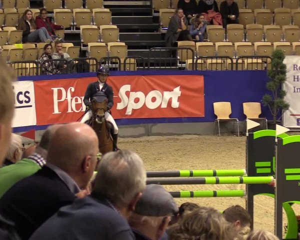 FEI Reitturnier Neumünster (GER) 2021