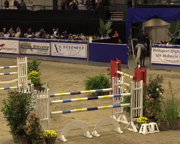 FEI Reitturnier Neumünster (GER) 2021
