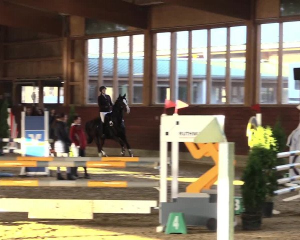 Reitturnier Coesfeld/Lette 2021