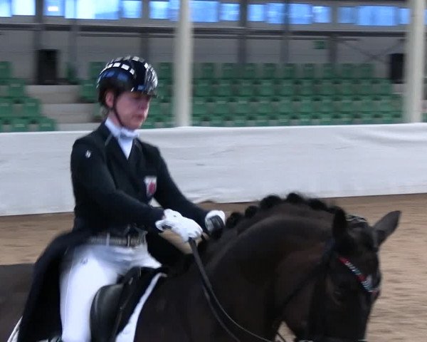 Reitturnier Zweibrücken-Landgestüt / Halle 2023