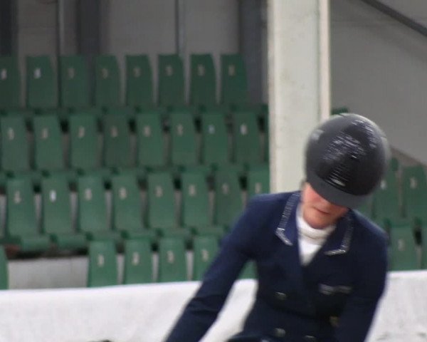 Reitturnier Zweibrücken-Landgestüt / Halle 2023