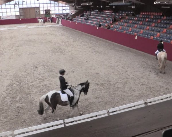 Reitturnier Krumke 2023