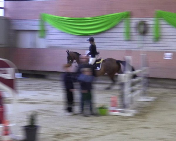 Reitturnier Hellefeld 2023