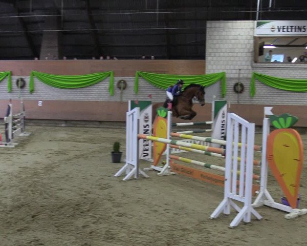 Reitturnier Hellefeld 2023