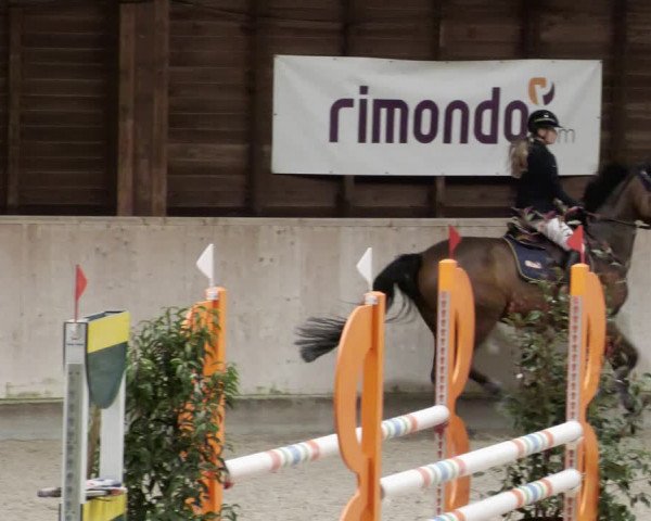 Reitturnier Mannheim-Neckarau 2023
