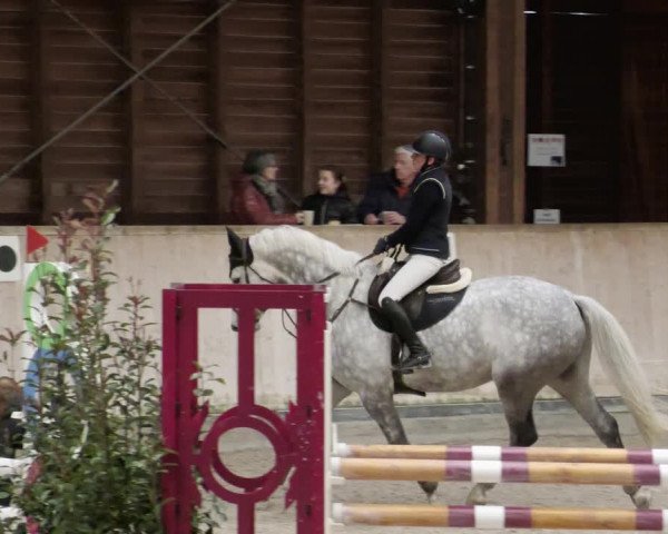 Reitturnier Mannheim-Neckarau 2023