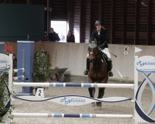Reitturnier Mannheim-Neckarau 2023