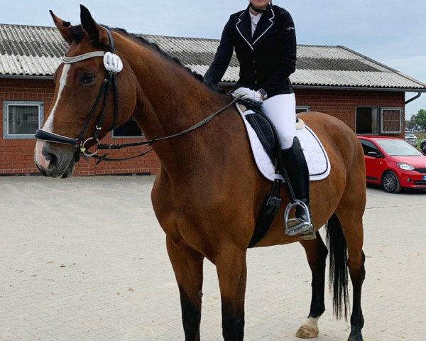 horse Amalfitana (Westphalian, 2014, from All At Once)