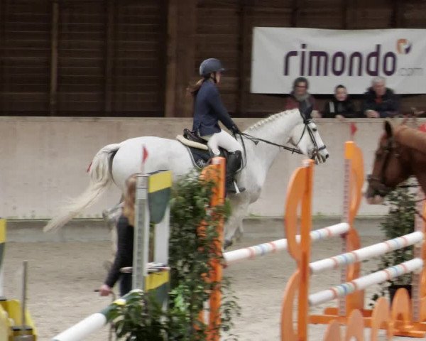 Reitturnier Mannheim-Neckarau 2023