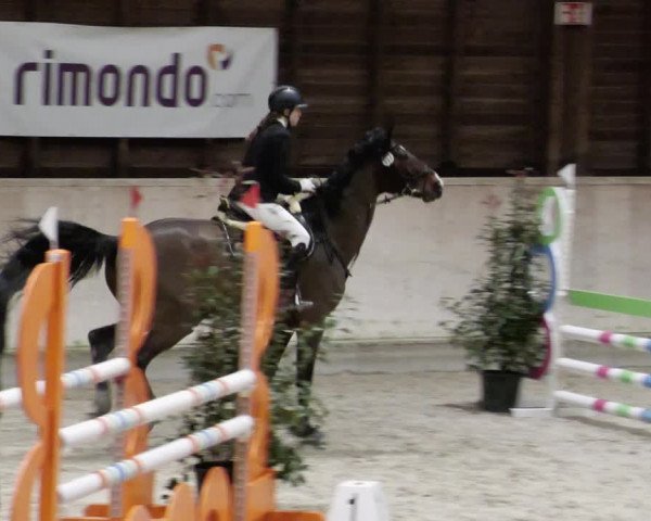Reitturnier Mannheim-Neckarau 2023