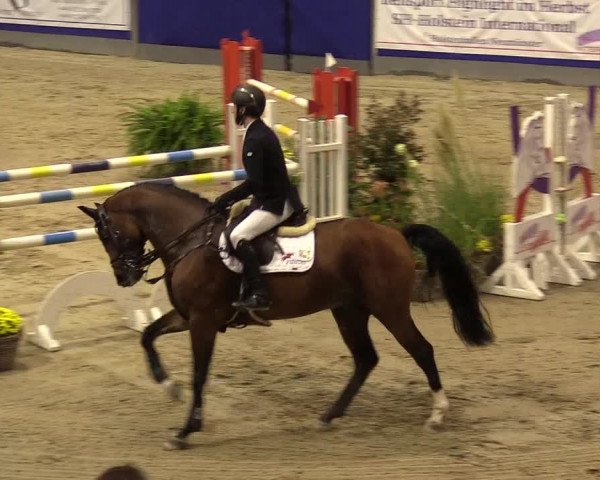 FEI Reitturnier Neumünster (GER) 2021