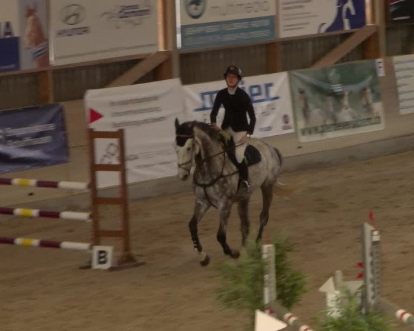 Reitturnier Schaffhausen 2023