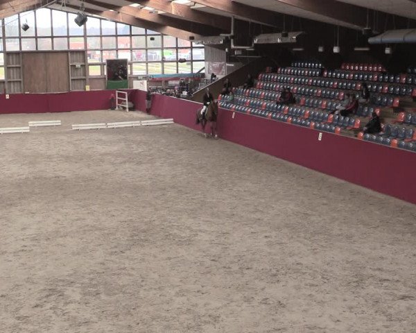 Reitturnier Krumke 2023
