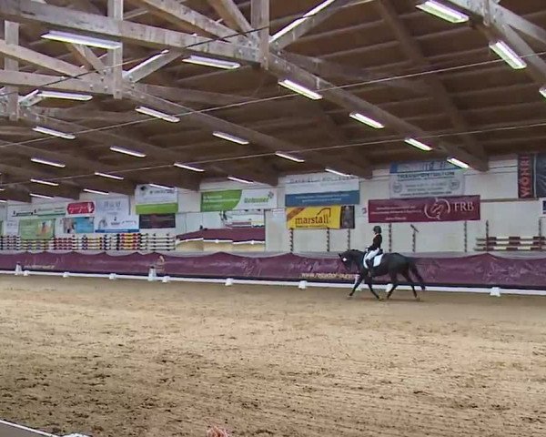 Reitturnier Eicherloh RH Laurent/Obb. 2023
