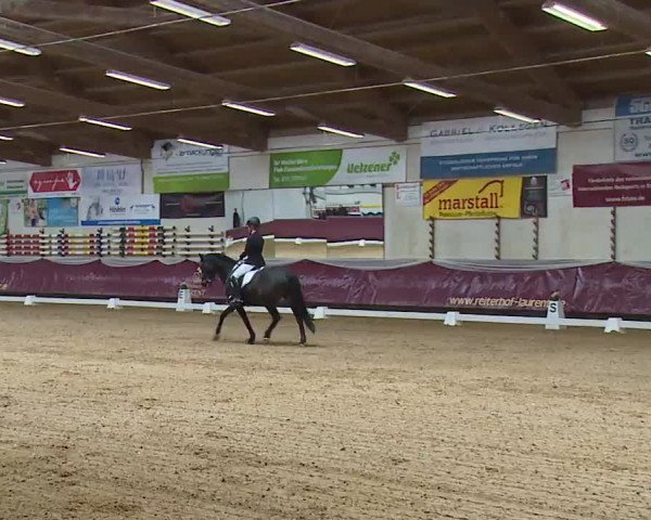 Reitturnier Eicherloh RH Laurent/Obb. 2023
