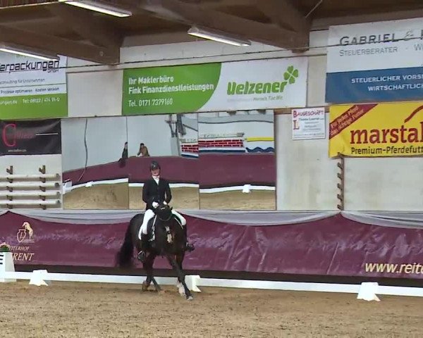 Reitturnier Eicherloh RH Laurent/Obb. 2023