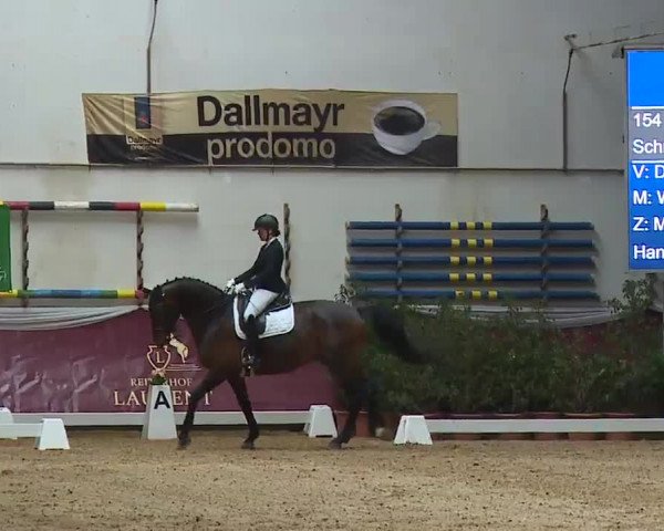 Reitturnier Eicherloh RH Laurent/Obb. 2023