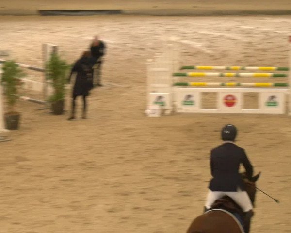 Reitturnier Schaffhausen 2023