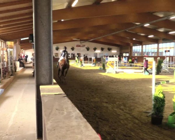 Reitturnier Coesfeld/Lette 2021