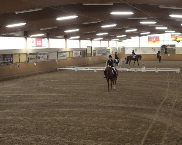 Reitturnier Hildesheim-Steuerwald 2023