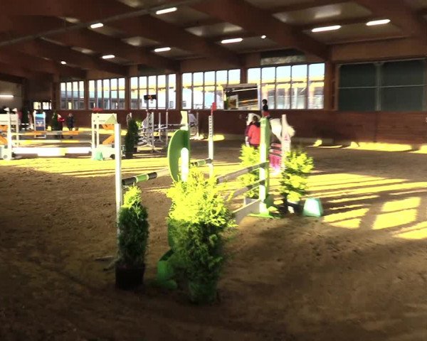 Reitturnier Coesfeld/Lette 2021