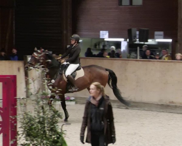 Reitturnier Mannheim-Neckarau 2023
