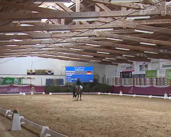 Reitturnier Eicherloh RH Laurent/Obb. 2023
